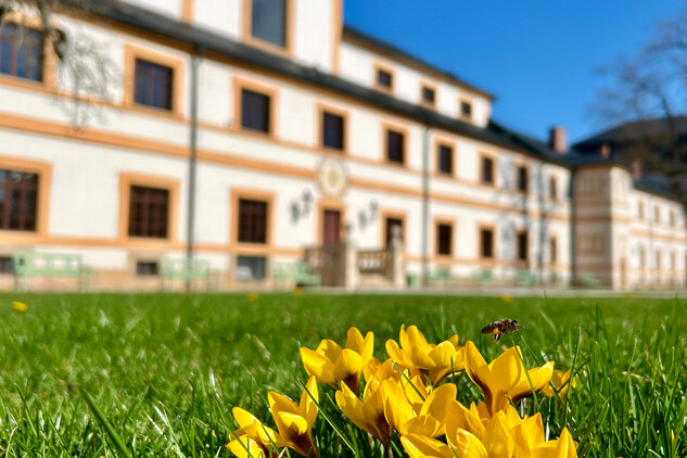 Hospitál Kuks nabídne v roce 2025 několik zpestření